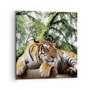 Obraz na plátne - S úctou - 70x70 cm