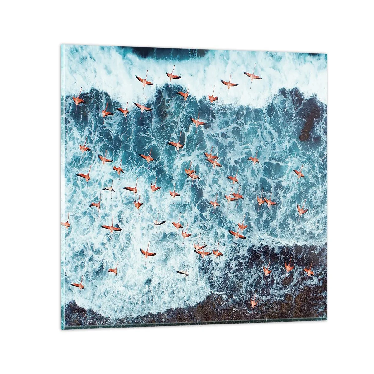Obraz na skle - Prímorský sprievod - 40x40 cm