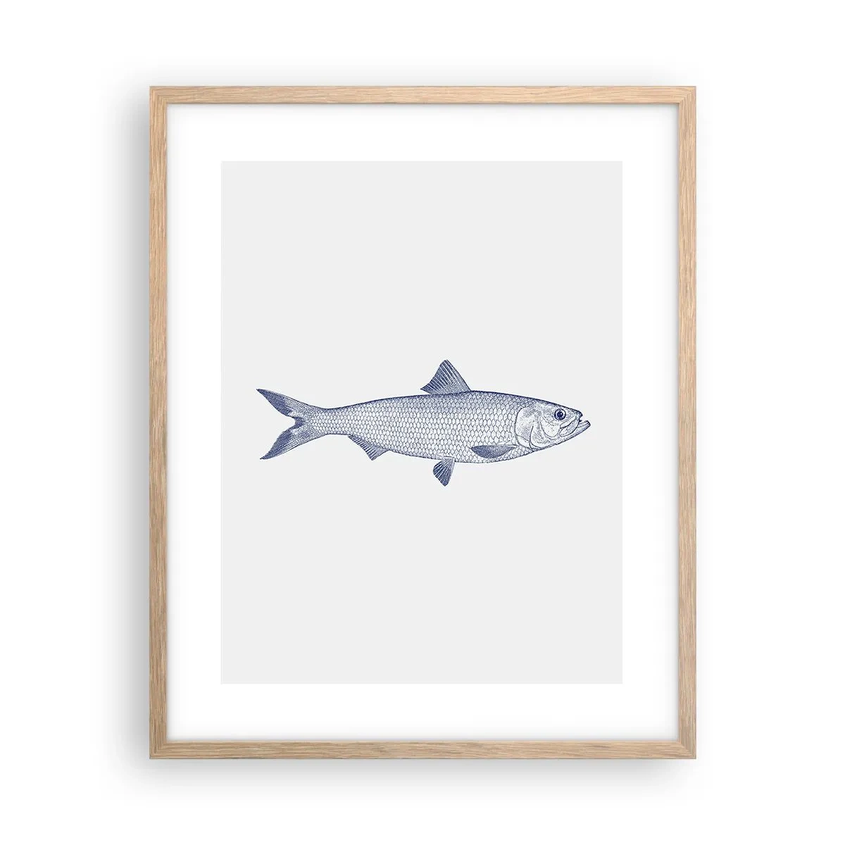 Plagát v ráme zo svetlého duba - Pozdravy zo severných morí - 40x50 cm