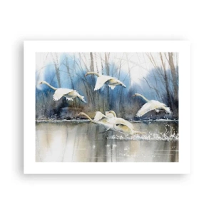 Plagát - Ako v poviedke o divokých labutiach - 50x40 cm