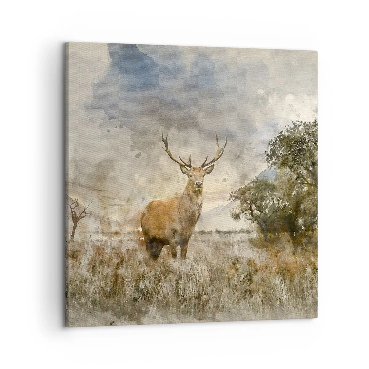 Obraz na plátne - Dôstojnosť - sila - majestátnosť - 50x50 cm