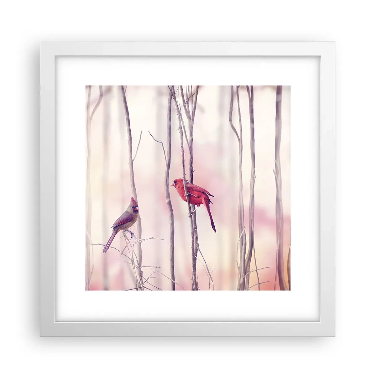Plagát v bielom ráme - Príbeh ružového lesa - 30x30 cm