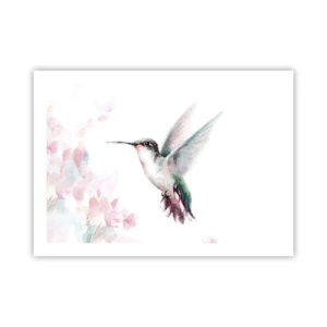 Plagát - Mávanie - 70x50 cm