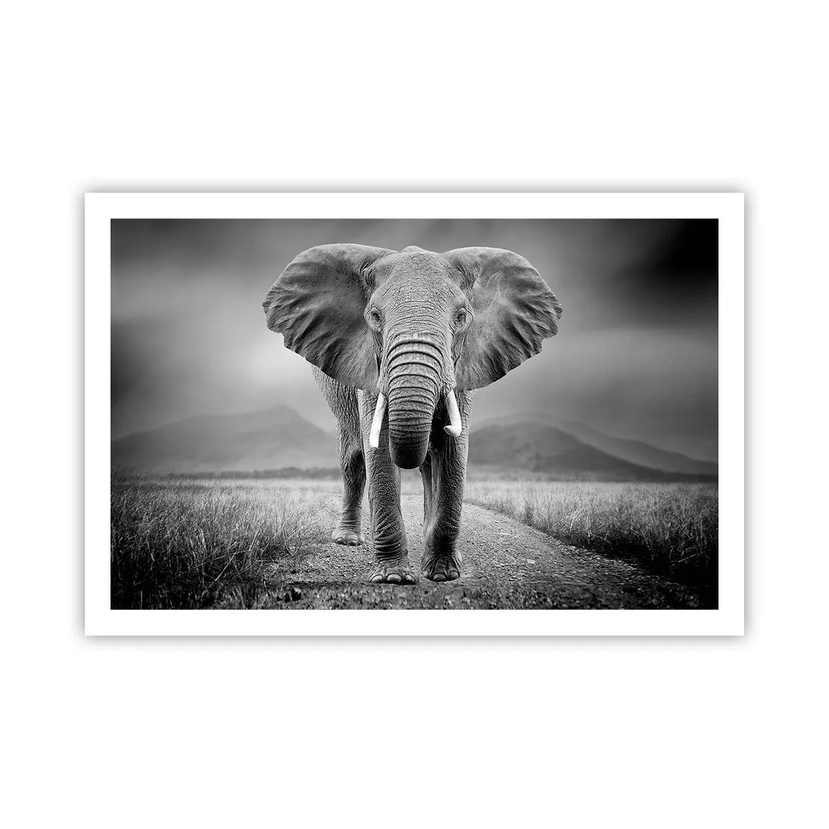 Plagát - Hostiteľ víta - 91x61 cm