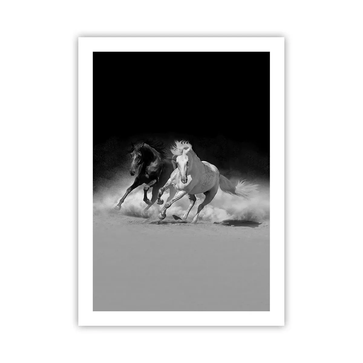 Plagát - Cval slobody - 50x70 cm
