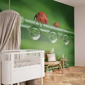 Samolepiaca Fototapeta Deluxe Sticker - Na cestách celé leto - Lienka, Kvapka vody, Príroda - 300x210 cm