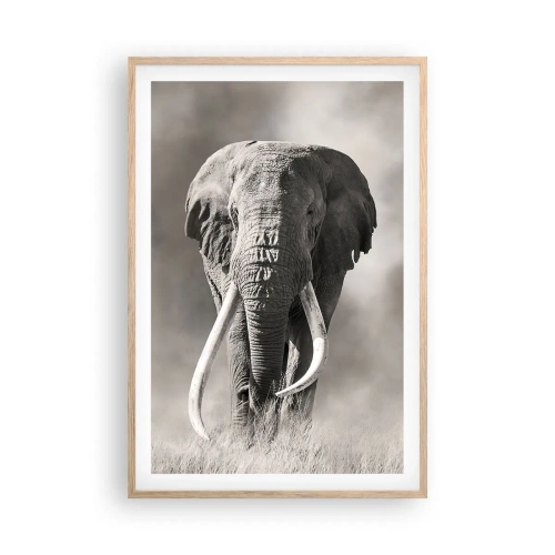 Plagát v ráme zo svetlého duba - Africký patriarcha - 61x91 cm