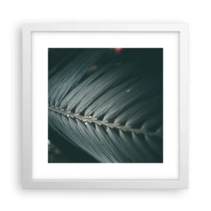 Plagát v bielom ráme - Presnosť prírody - 30x30 cm