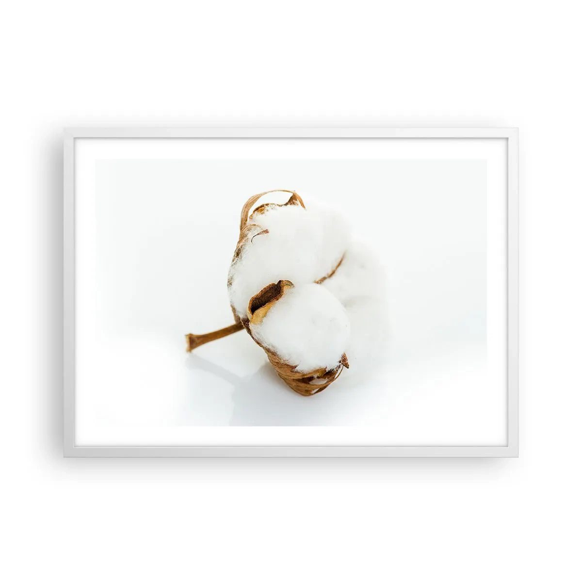 Plagát v bielom ráme - Mäkká od prírody - 70x50 cm
