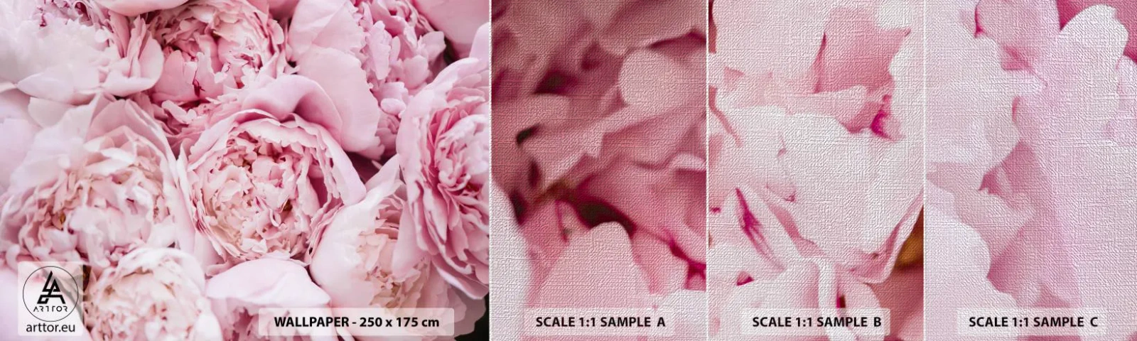 Vzorka fototapety Premium Canvas - Pritúlené a voňavé - Pivonka, Kvety, Kytica kvetov - 100x30 cm