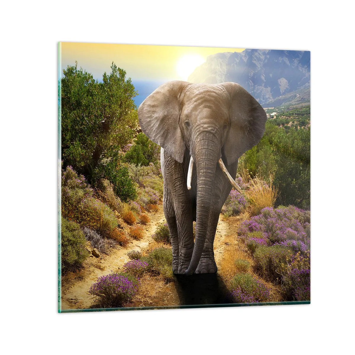 Obraz na skle - Tak vyzeral Raj - 30x30 cm