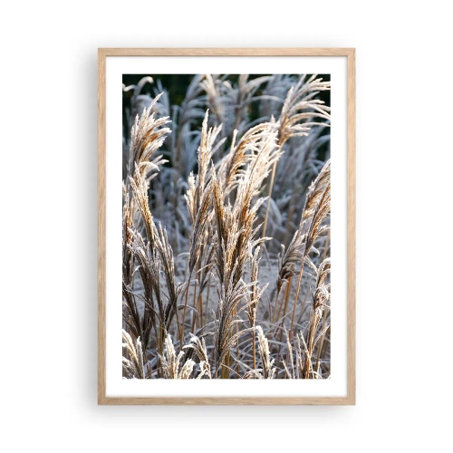 Plagát v ráme zo svetlého duba - Mrazom pokryté - 50x70 cm