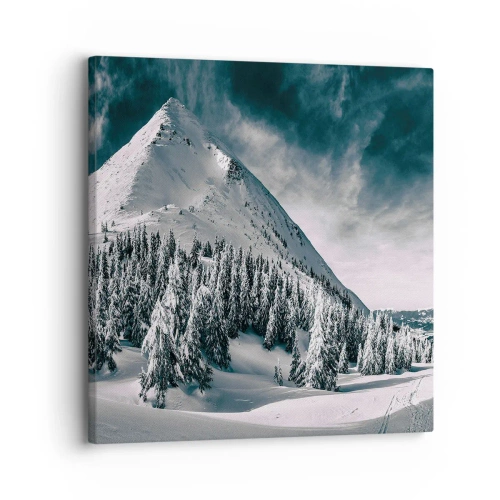 Obraz na plátne - Krajina snehu a ľadu - 30x30 cm