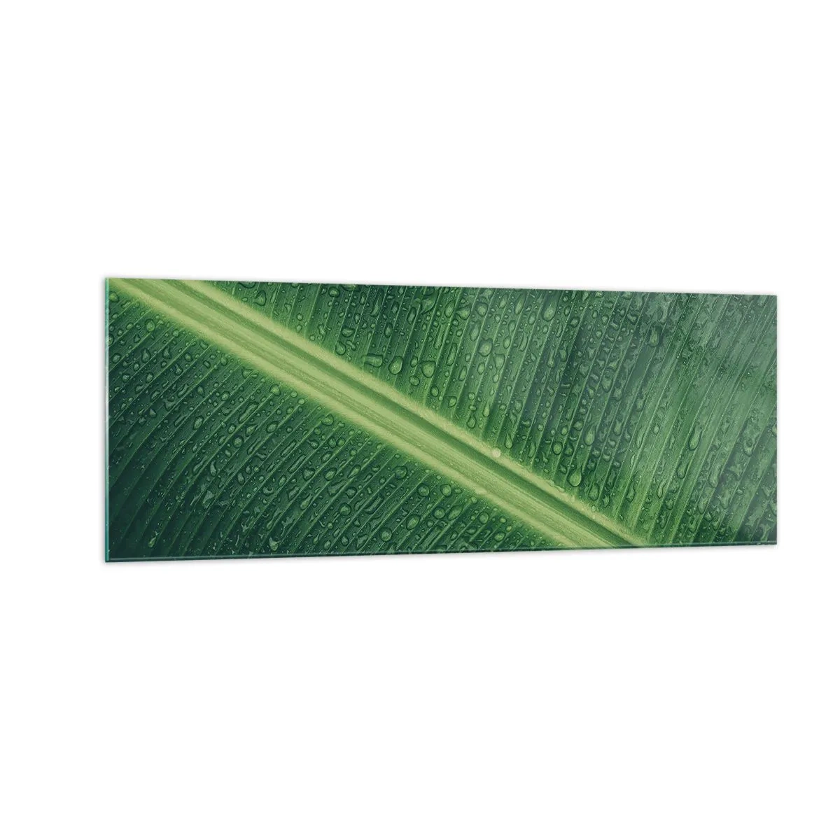 Obraz na skle - Štruktúra zelenej - 140x50 cm