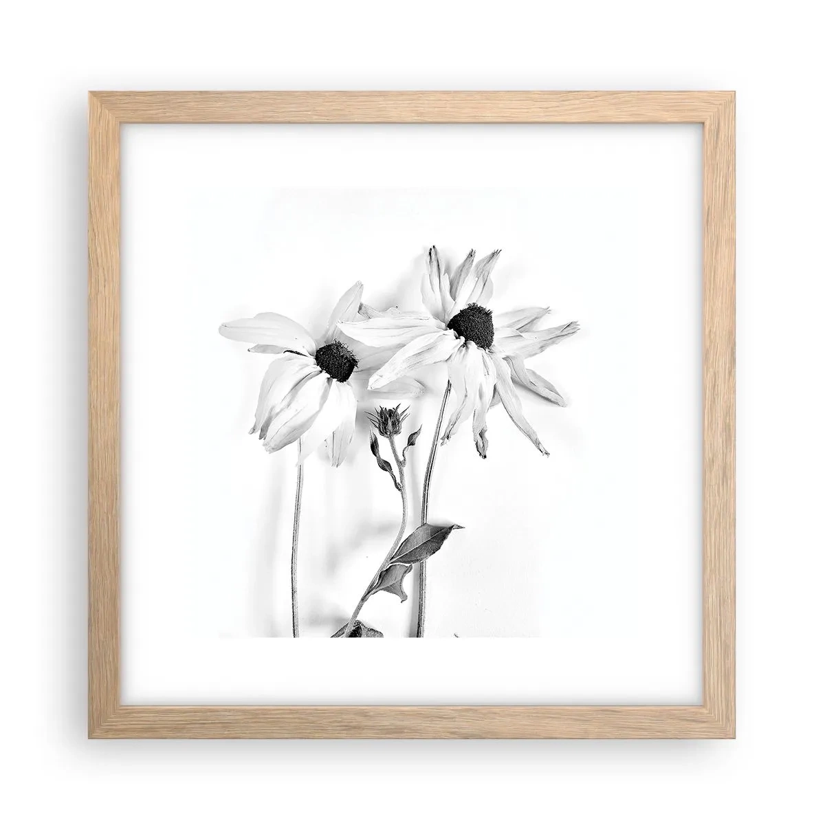 Plagát v ráme zo svetlého duba - Nikto nechce byť sám - 30x30 cm