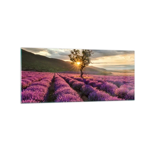 Obraz na skle - Aróma vo fialovej - 120x50 cm