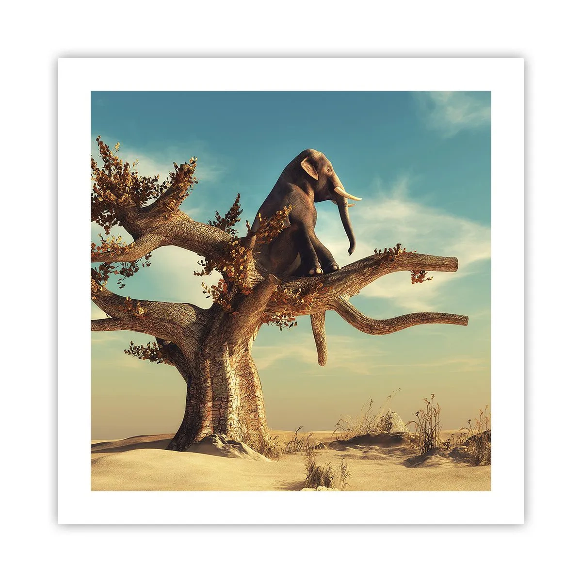 Plagát - Nový uhol pohľadu - 50x50 cm