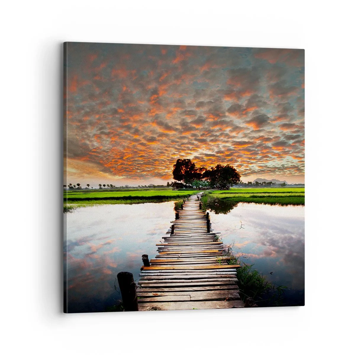 Obraz na plátne - Roztiahnite ruky - dýchajte  - 70x70 cm