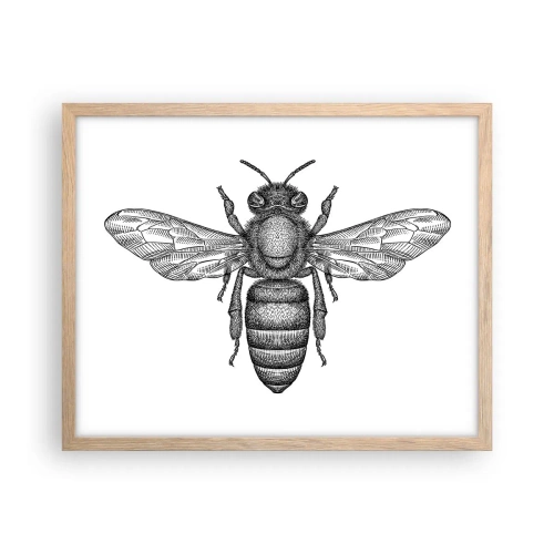 Plagát v ráme zo svetlého duba - Hmyzí portrét - 50x40 cm