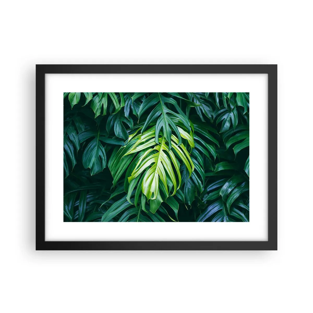 Plagát v čiernom ráme - Ponoriť sa do sviežosti - 40x30 cm