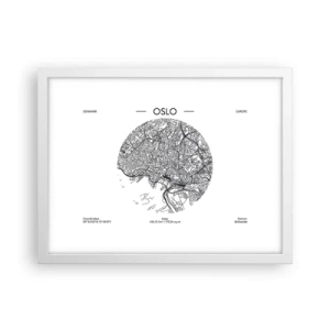 Plagát v bielom ráme - Anatómia Osla - 40x30 cm