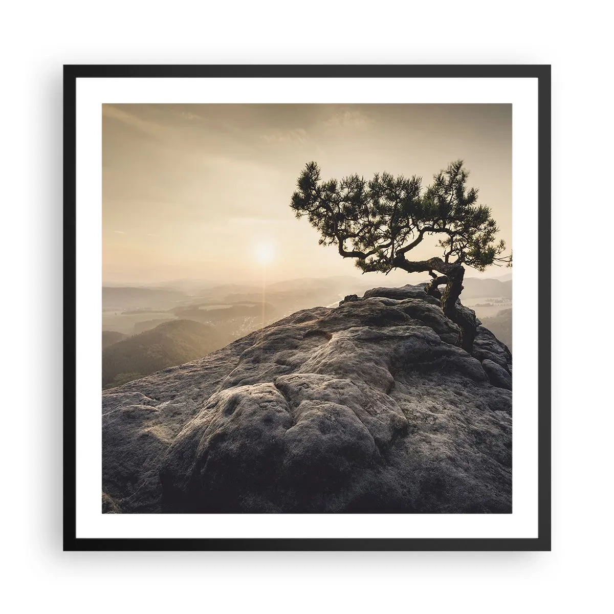 Plagát v čiernom ráme - Život vždy víťazí - 60x60 cm