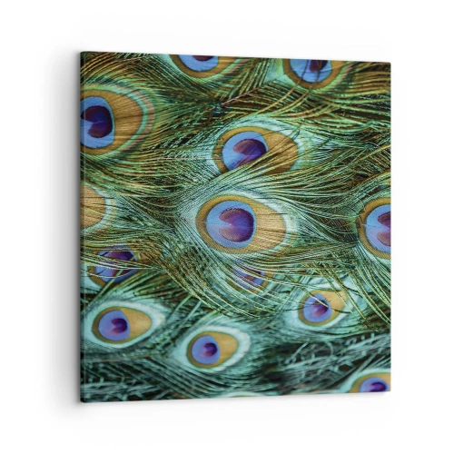 Obraz na plátne - Páví pohľad - 50x50 cm