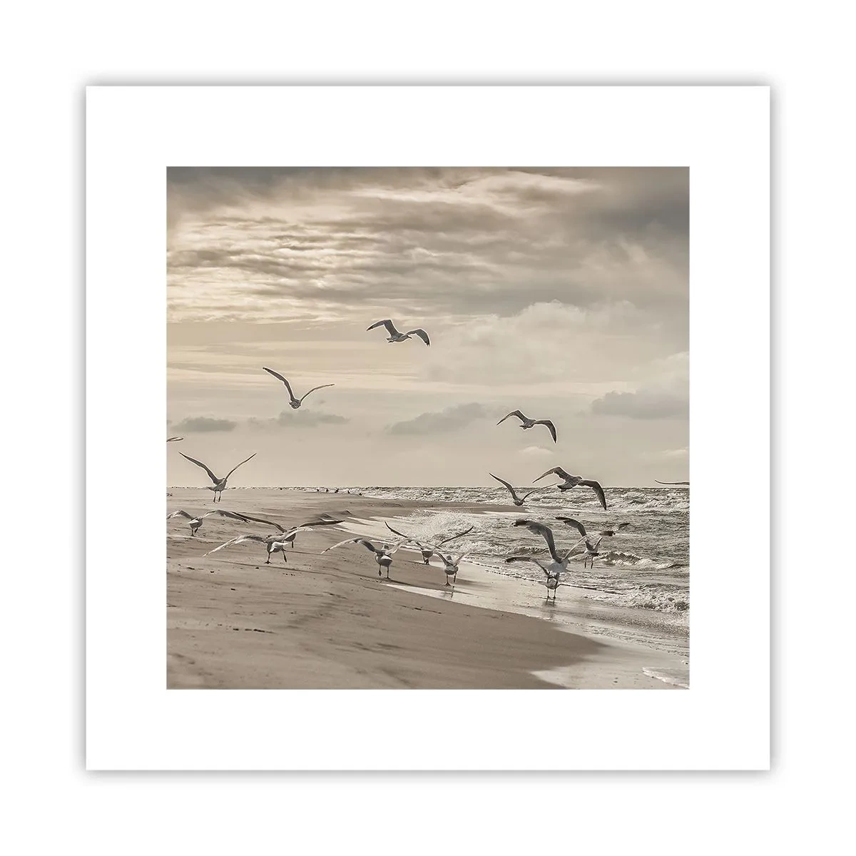Plagát - Šumenie mora, spev vtákov - 30x30 cm