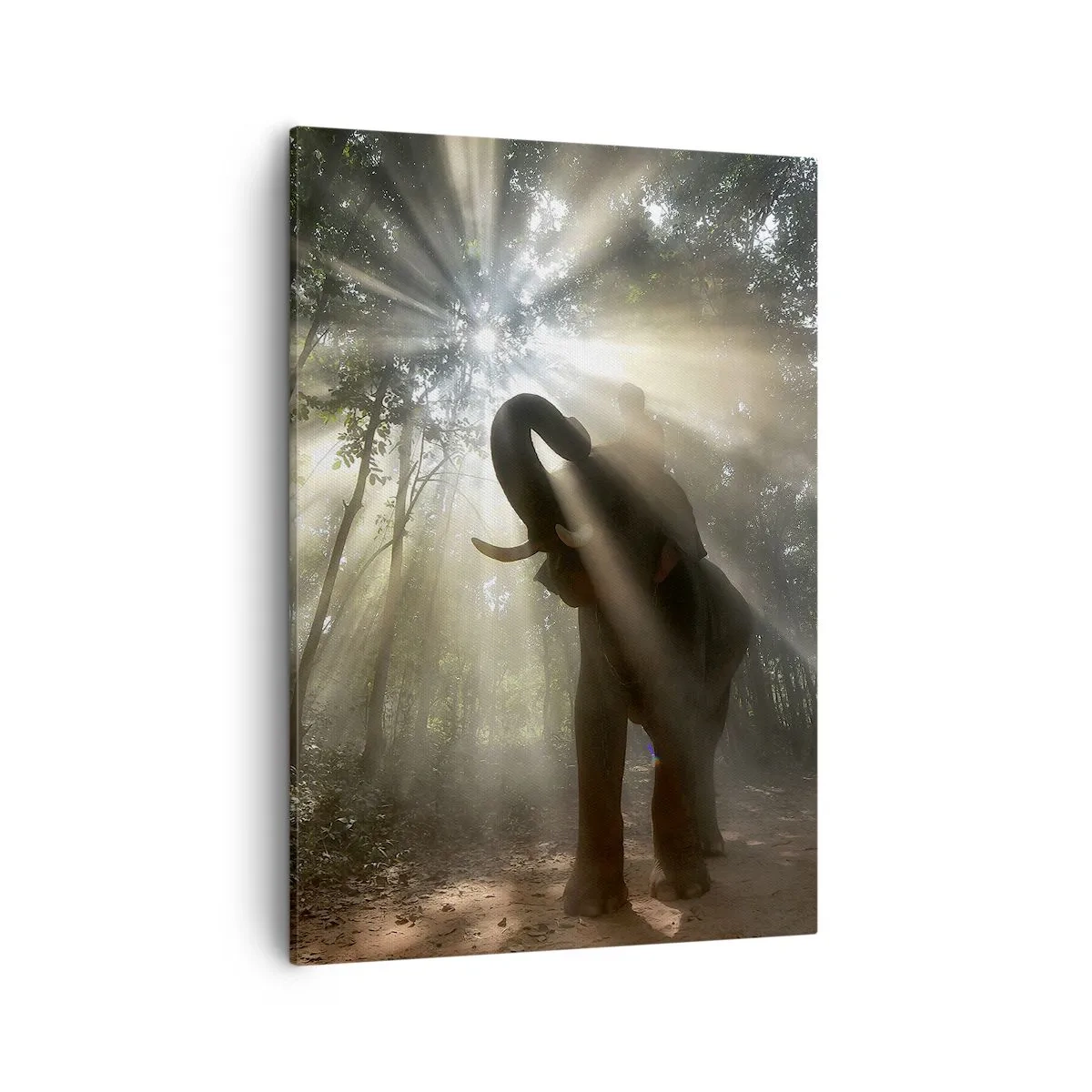 Obraz na plátne - Pod šťastnou hviezdou - 50x70 cm