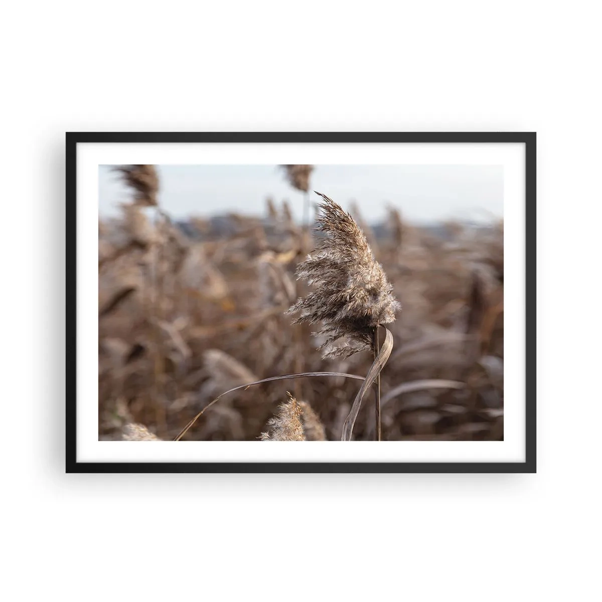 Plagát v čiernom ráme - Čas odletieť s vetrom - 70x50 cm