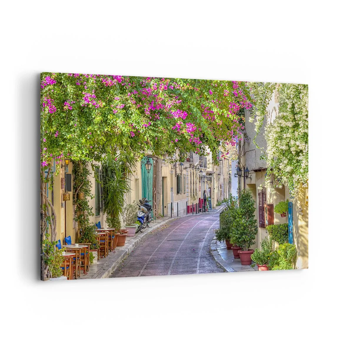 Obraz na plátne - Kvitnúce zákutie - 100x70 cm