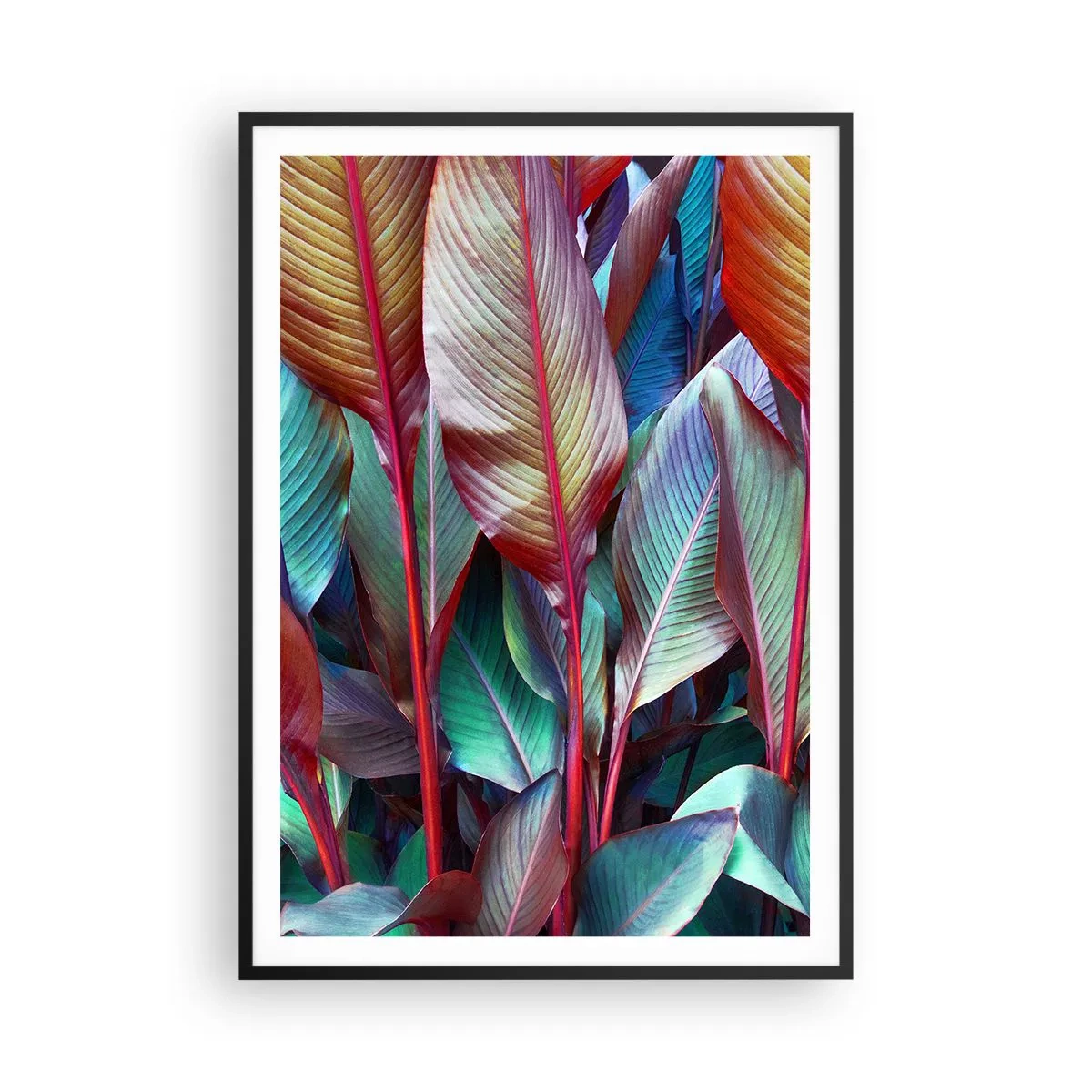 Plagát v čiernom ráme - Farebná húština - 70x100 cm