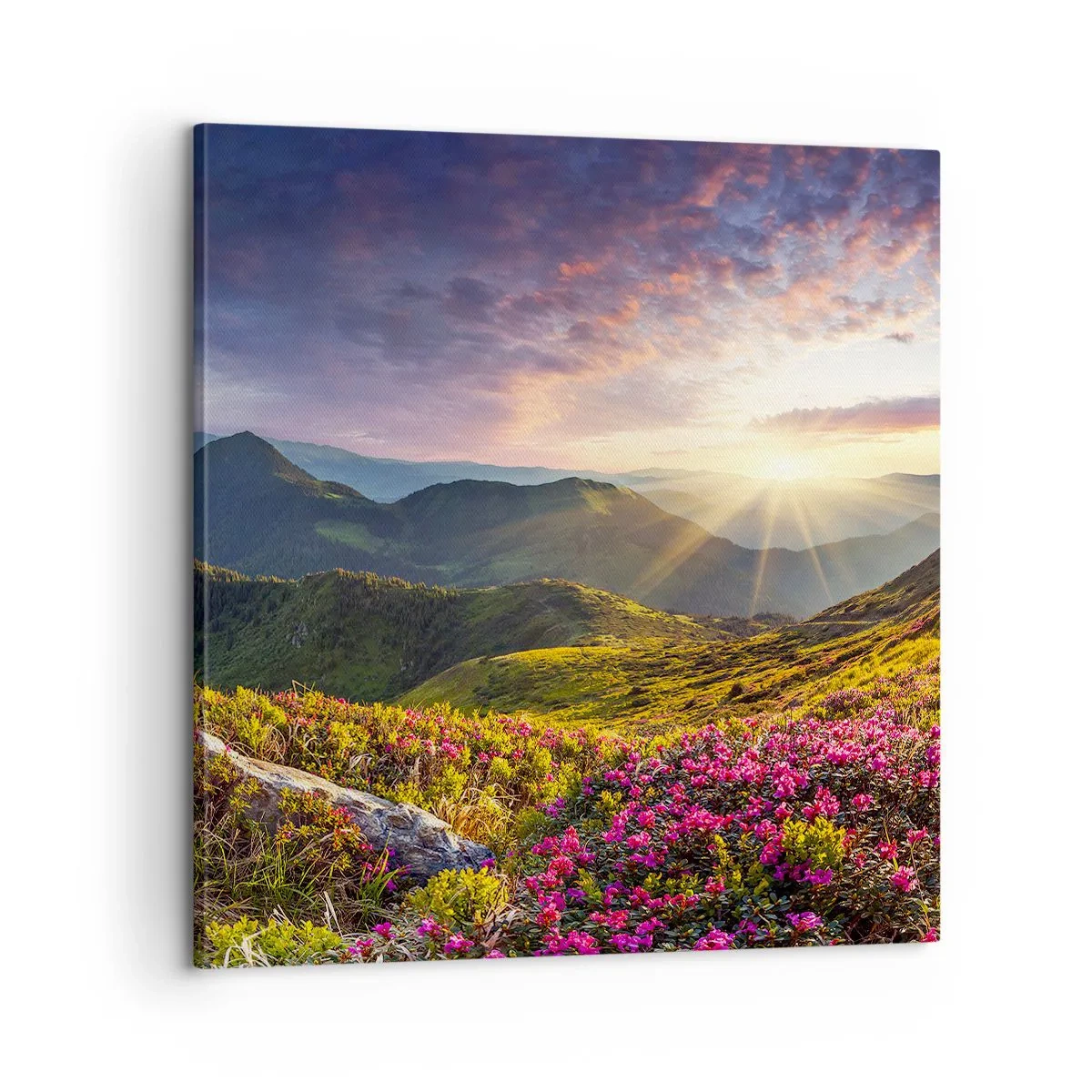 Obraz na plátne - Sviežosť horského rána - 60x60 cm