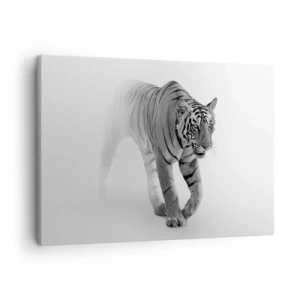 Obraz na plátne - Tiger vychádzajúci z hmly - 70x50cm - Prikrčený v hmle - Moderná nástenná dekorácia do obývacej izby a spálne ARTTOR