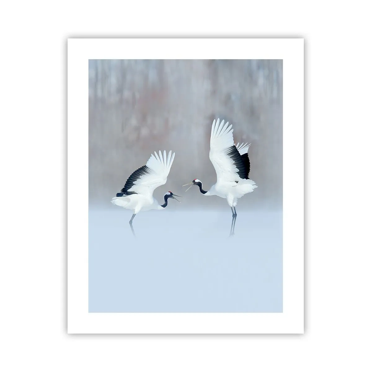 Plagát - Tanec v hmle - 40x50 cm