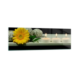 Obraz na skle - Ukojenie zmyslov - 160x50 cm