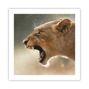 Plagát - Snaž sa nepočúvať - 50x50 cm