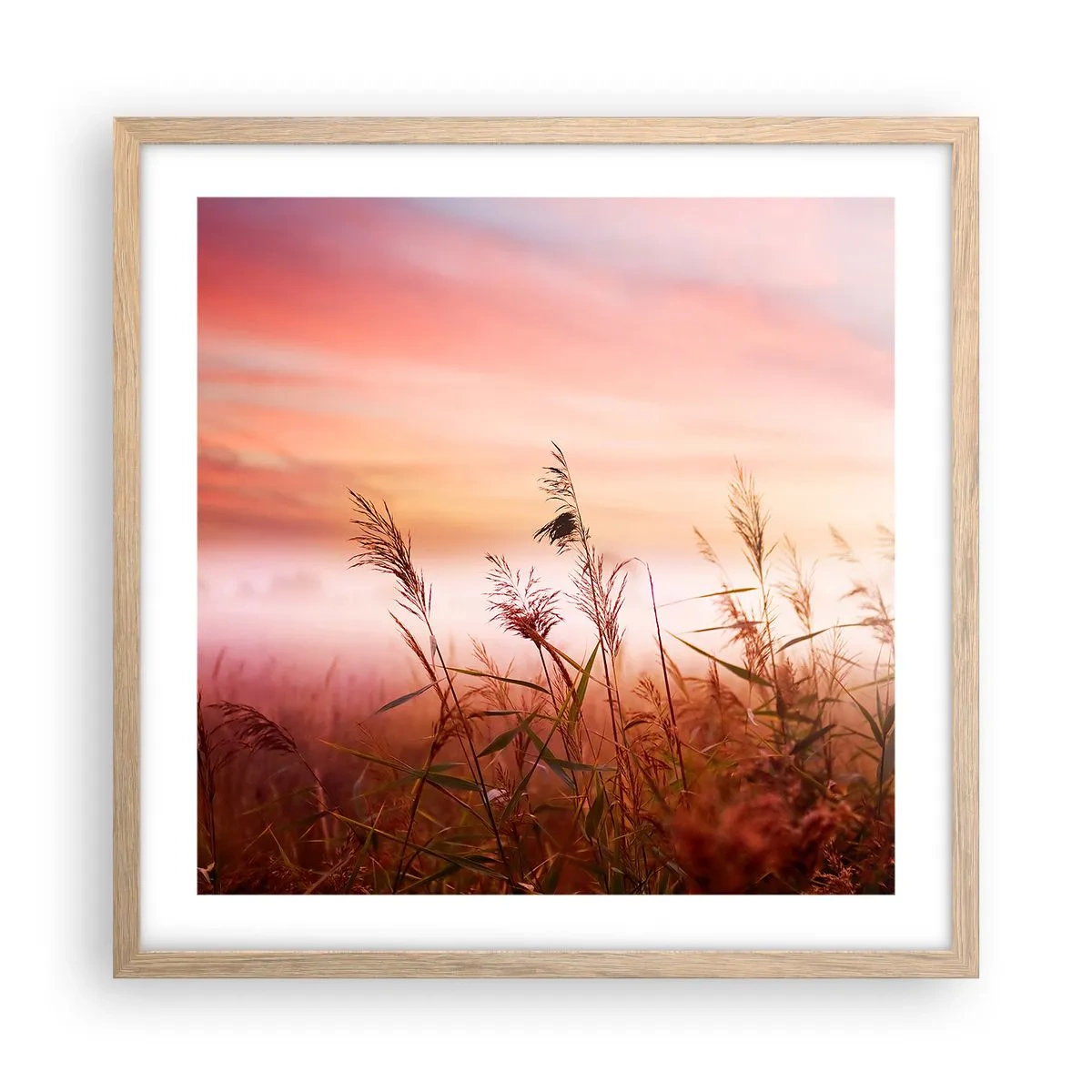 Plagát v ráme zo svetlého duba - Draci, púpavy a vietor - 50x50 cm