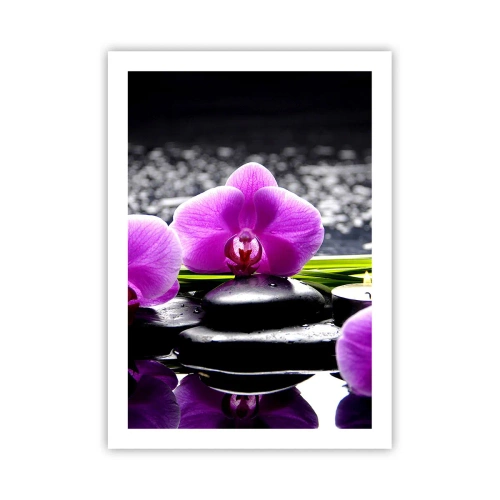 Plagát - Utopiť v tichu a pokoji - 50x70 cm