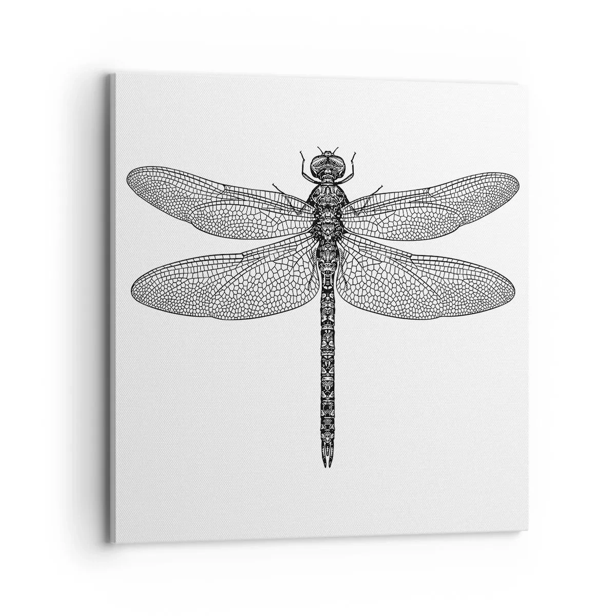 Obraz na plátne - Presnosť prírody - 70x70 cm