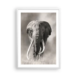 Plagát v bielom ráme - Africký patriarcha - 50x70 cm