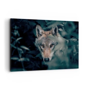 Obraz na plátne - Predátor - 120x80 cm