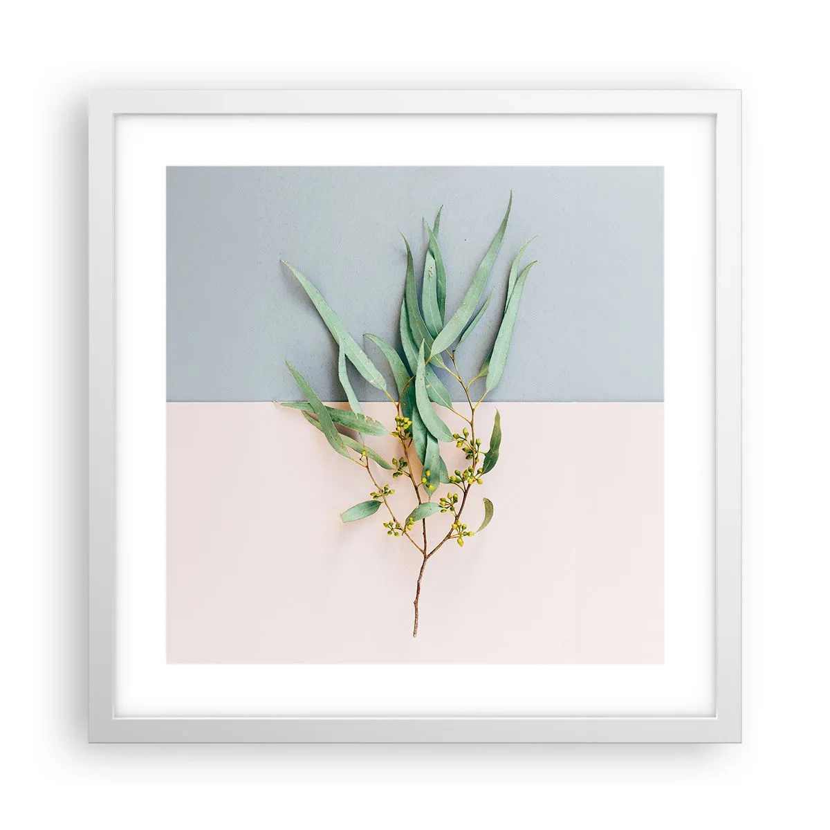 Plagát v bielom ráme - Pastelová jemnosť - 40x40 cm