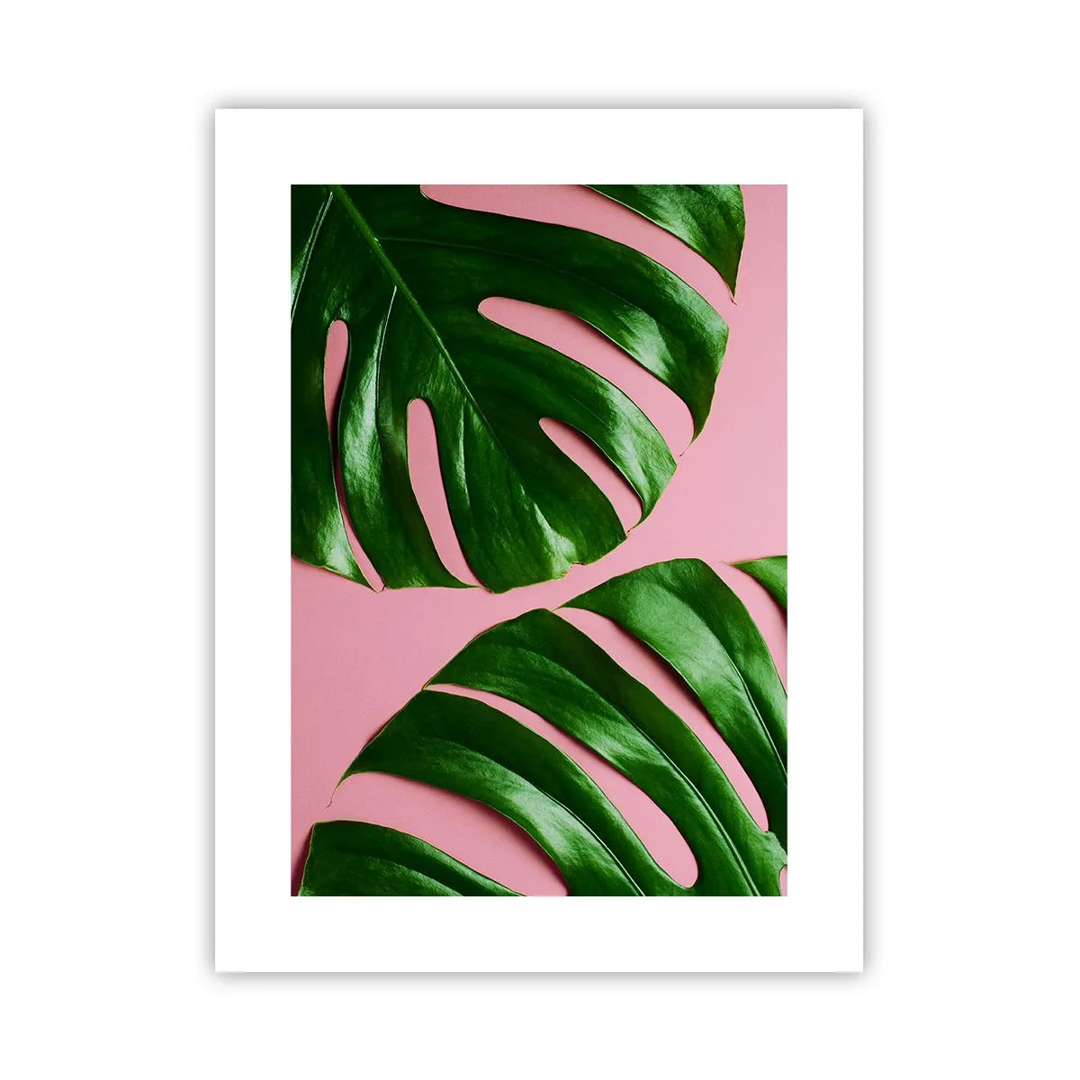 Plagát - Zelené rendez-vous - 30x40 cm