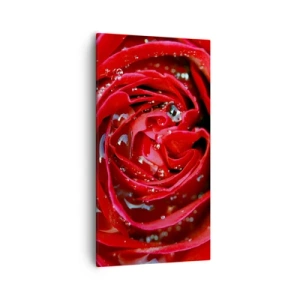 Obraz na plátne - V kvapkách rosy - 55x100 cm