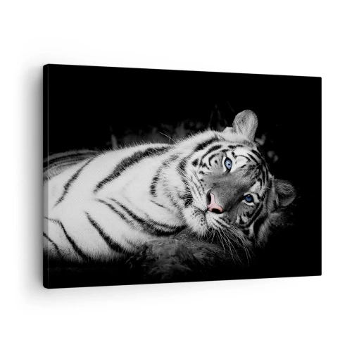 Obraz na plátne - Umelecky vykreslený biely tiger na čiernom pozadí - 70x50cm - Divočina a pokoj - Moderná nástenná dekorácia do obývacej izby a spálne ARTTOR