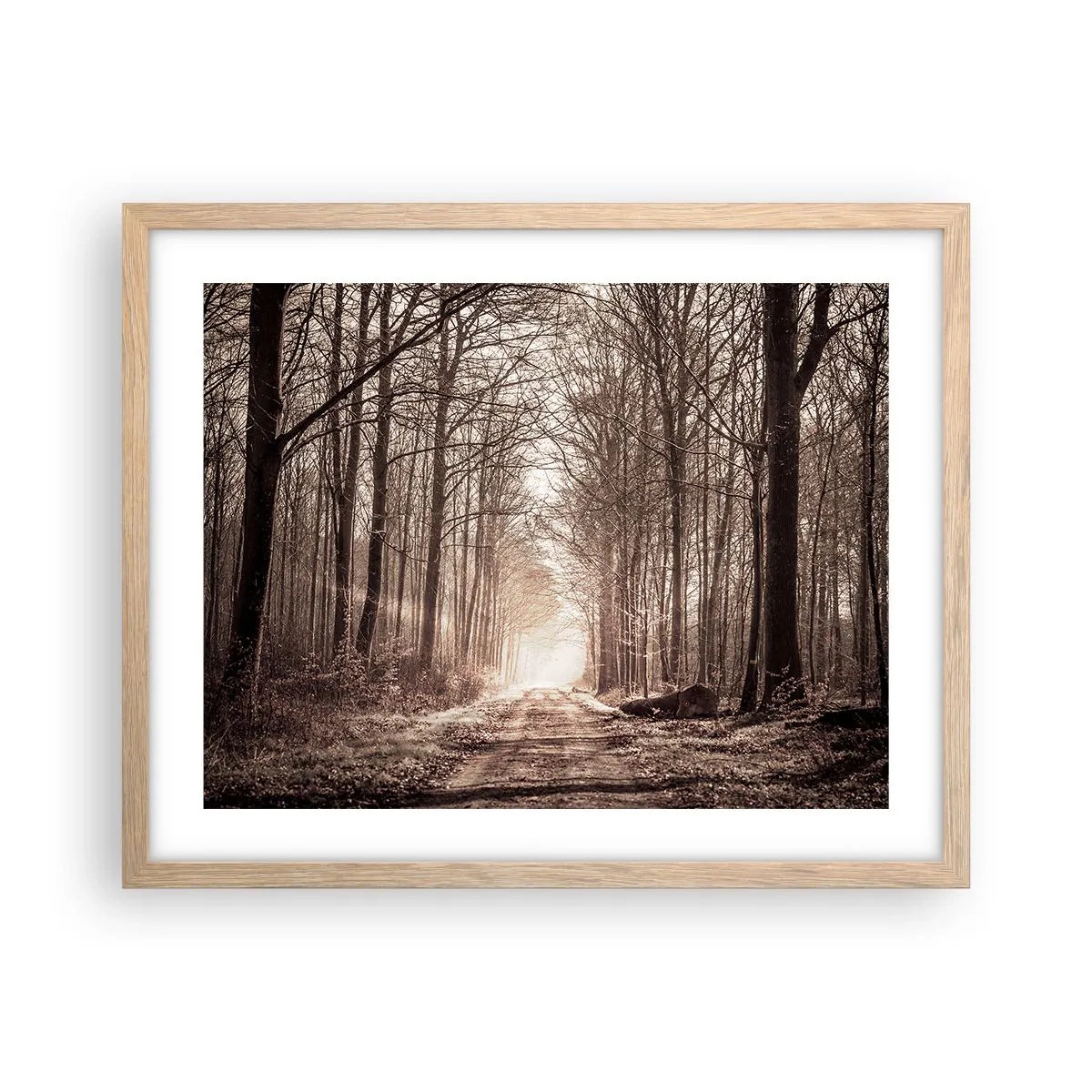 Plagát v ráme zo svetlého duba - Lesná katedrála - 50x40 cm