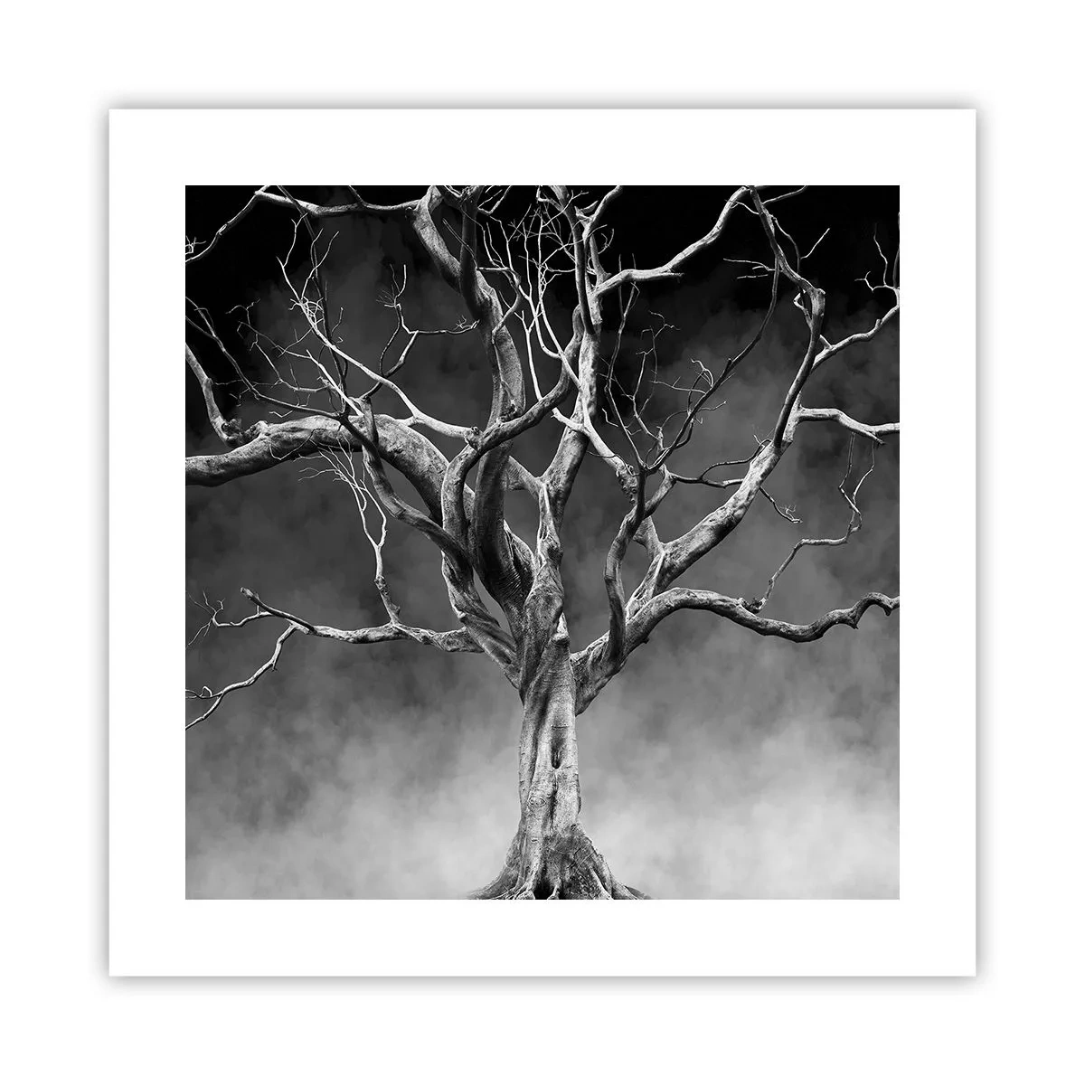 Plagát - Pôvodné a sväté - 40x40 cm
