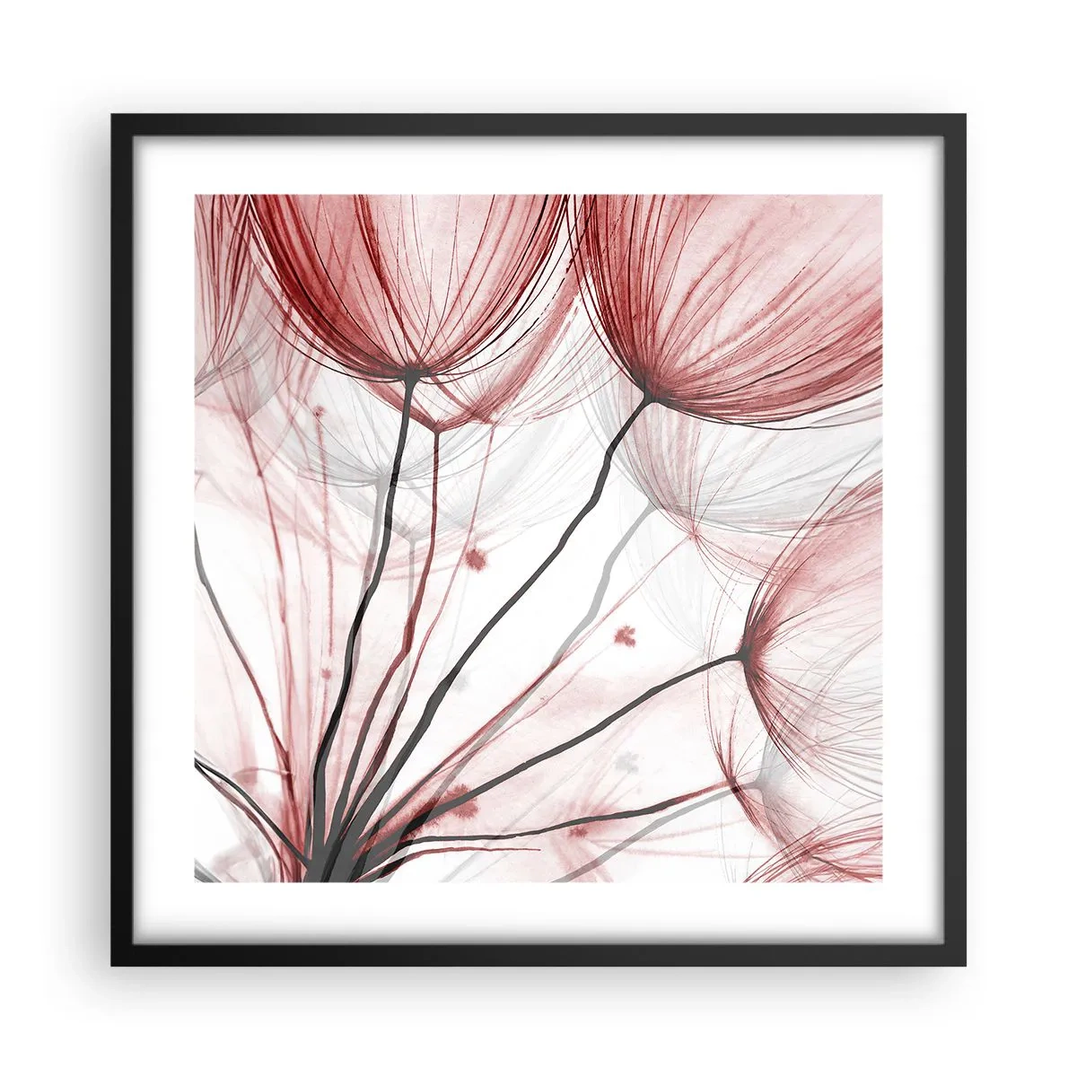 Plagát v čiernom ráme - Pred odletom - 50x50 cm