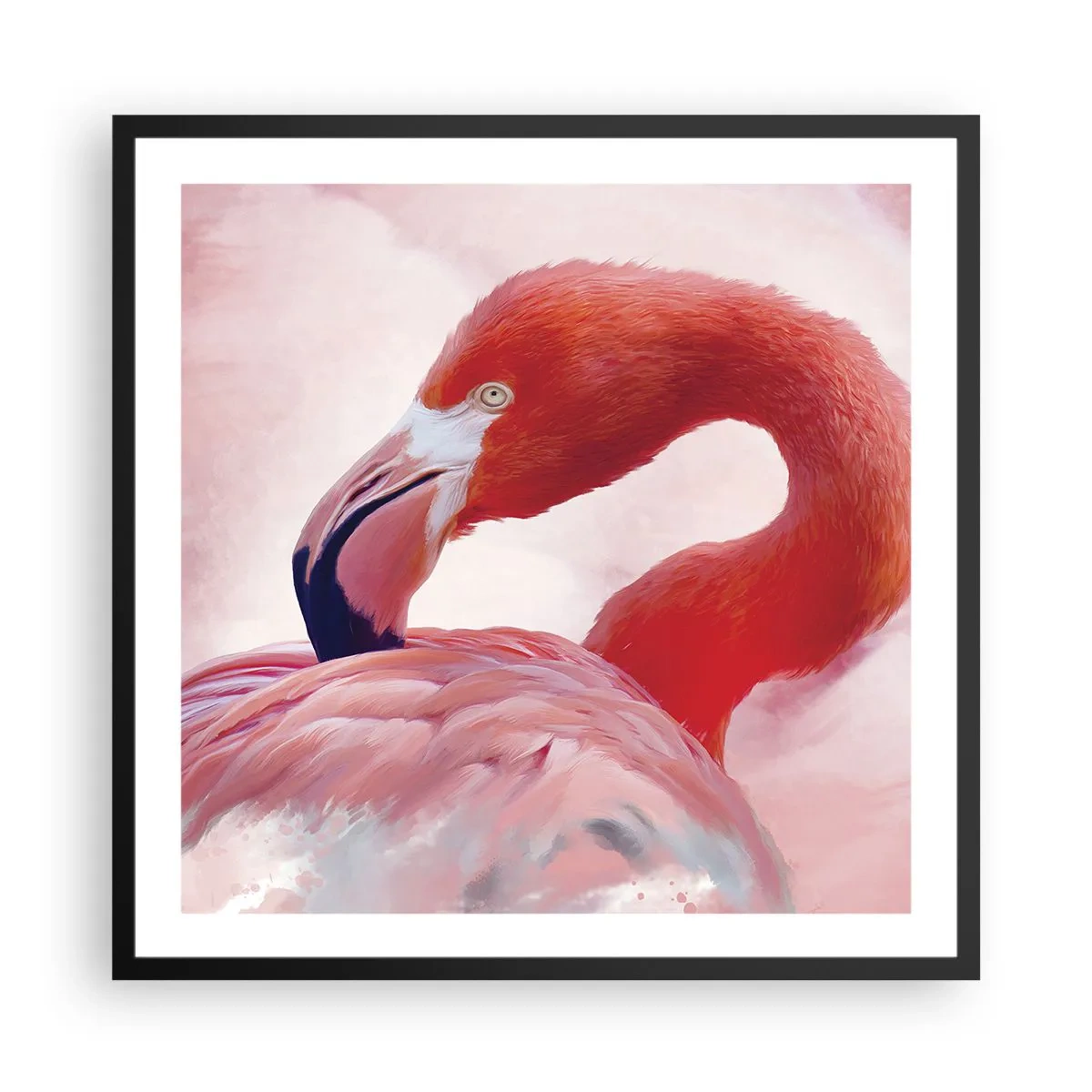 Plagát v čiernom ráme - Vtáčia krása - 60x60 cm